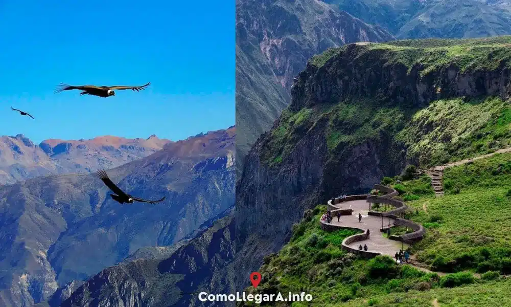 C&oacute;mo llegar al Ca&ntilde;&oacute;n del Colca desde Lima &mdash; Caylloma, acceso por Chivay